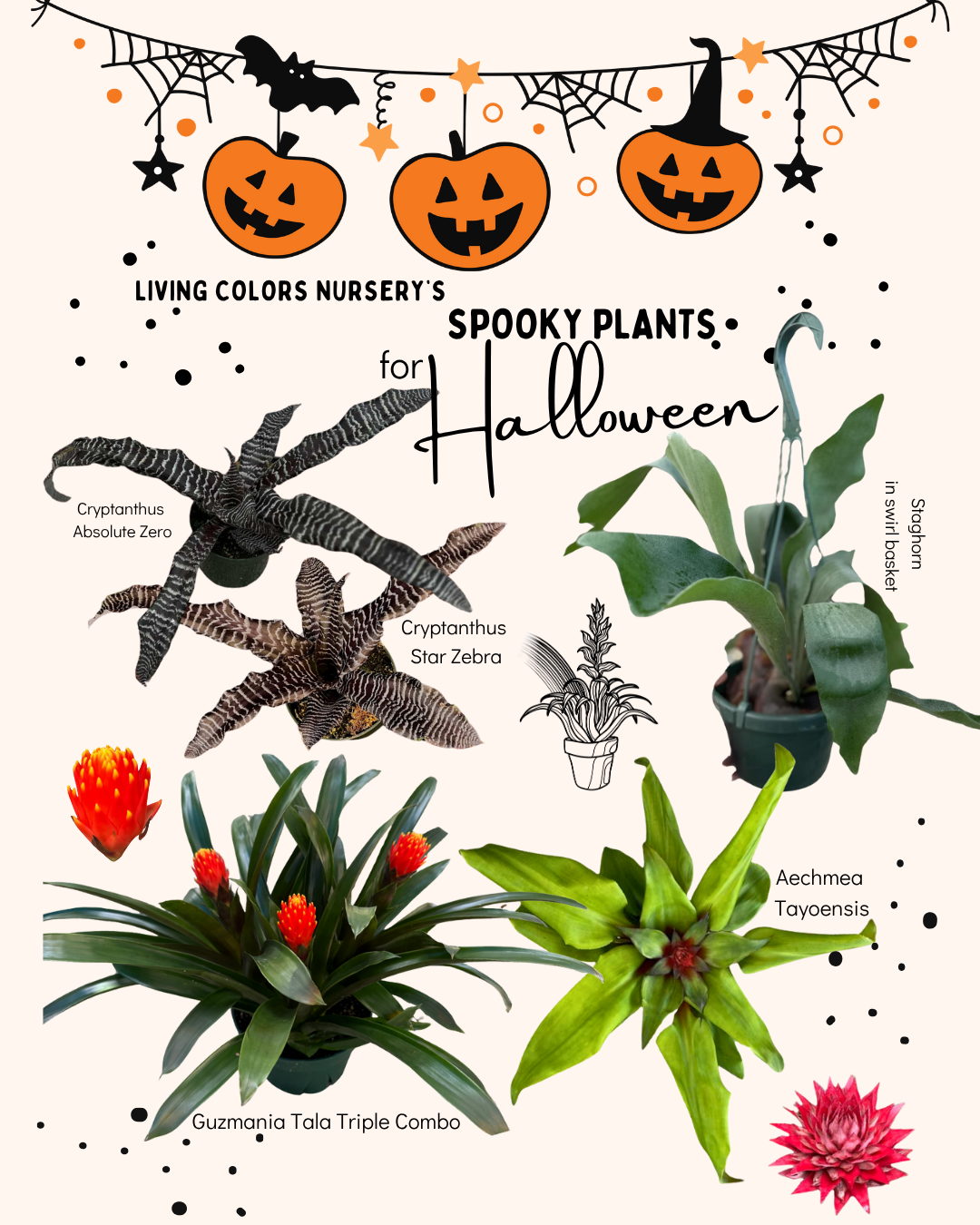 Spooky Plants For October